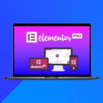 Elementor Pro Plugin Activation With License Key (Auto Update)